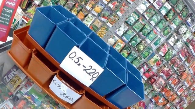 ТОМАТЫ КЛУША  и  ЛЕНТЯЙКА// Жанна даёт СОВЕТЫ //#садовыйдворик #лучшиесорта #посадкатоматоввсибири