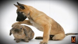 ПРИТЧА О ДРУЖБЕ