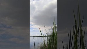 "Я назову тебя зоренькой"