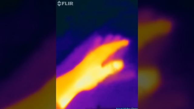 Flir One IOS (in the dark)