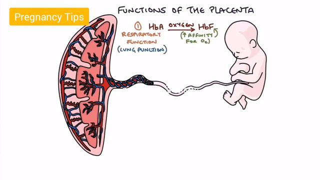 Nanju kodi(Placent Position) || Placenta Position During pregnancy in Tamil || Pregnancy Tips смотреть онлайн