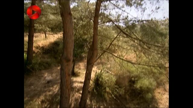 Serial Asi - Episode 118 -FINAL- سریال ترکی عاصی - قسمت 118 - پایان - دوبله فارسی смотреть онлайн