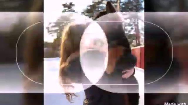 Видео от родителей на последний звонок смотреть онлайн