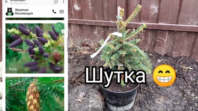 Отзыв от Екатерины