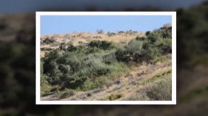 Душанбе. Наши поездки в Варзоб