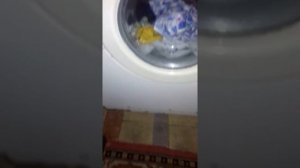 Bosch Wmv 1600 baby 40°C (2/5)