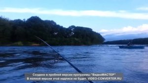 Ловля Голавля на р Сосна