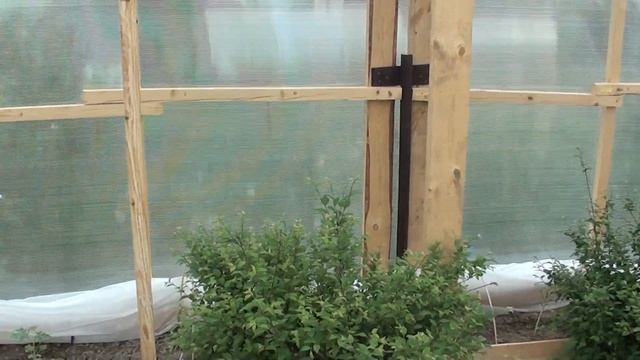 Арбузы на 10 июня смотреть онлайн