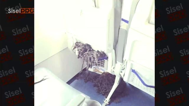 55 Лютых Наглецов, Которые Всех Раздражают! смотреть онлайн