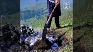 Ягненок в горах Азербайджана