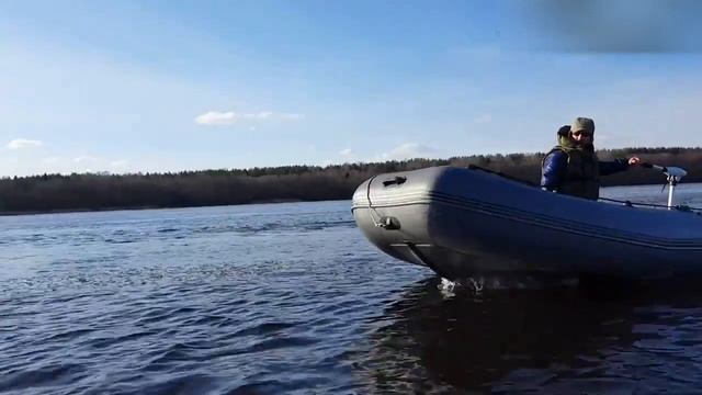 Лодочный электромотор Haswing Protruar смотреть онлайн