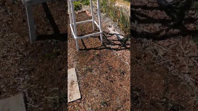 Болтовня про огород. Малоуходный микро огород.