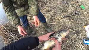 РЫБАЛКА НА САЗАНА ВЕСНОЙ. РЫБАЛКА НА ДОНКУ 2020.рыбалка весной 2020