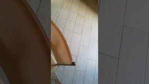 Обзор термаса из Германии