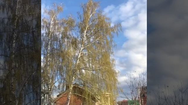 Большой выбор земельных участков в Череповце и Череповецком районе смотреть онлайн