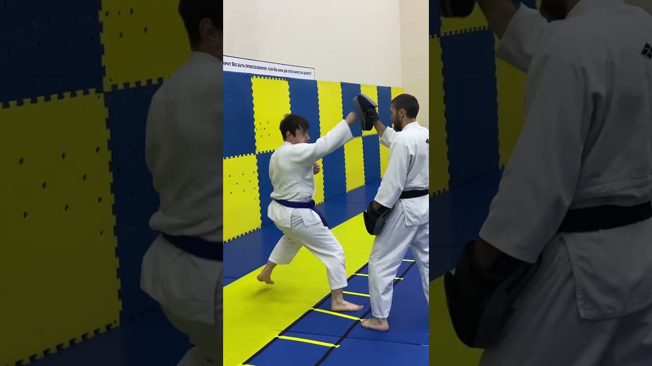 Двойка,работа с лестницей,перемещение с фишками.#лестница#работа на лапах. смотреть онлайн