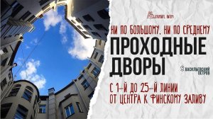 Как пройти через все линии, не сходив ни разу по Большому и по Среднему? От центра к Финскому заливу