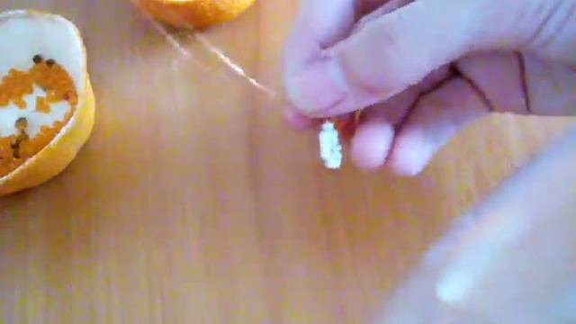 Бабочка. Бисероплетение для начинающих.