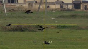 PARD DS35LRF,EDgun Leshiy 2.0,Crow Hunting,Кроухантинг ,Леший 2