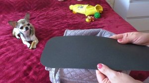 ПОКУПКИ ДЛЯ  ЩЕНКА Сумка-переноска и новый костюм Одежда для собак ПОКУПКИ ДЛЯ ЧИХУА ХУА ЛАКИ