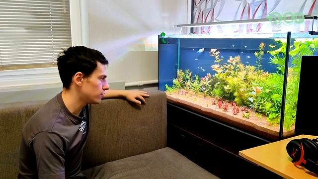 АКВАРИУМ травник Ильи! 2 часть смотреть онлайн