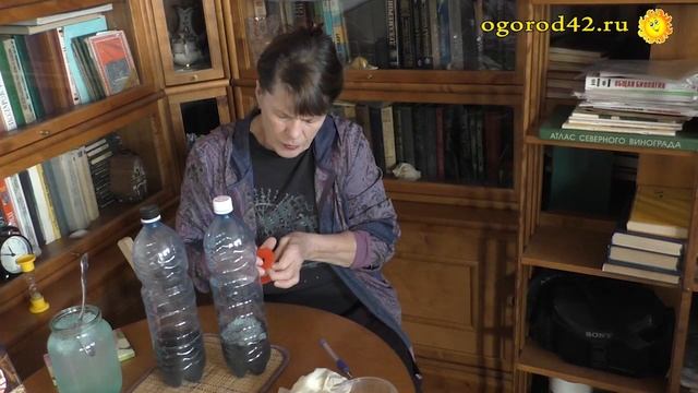 Почему рано не стоит сеять семена