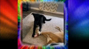 Только бы не разбудить...