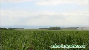 Орошение дождевальной машиной ZDM 500/110 с дальнеструйным дождевателем (пушка, спринклер)