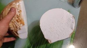 Гриб дождевик (головач). Съедобен ли?