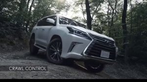 Land Cruiser 2017 VS Lexus LX 570 2017 | 4X4 Lovers