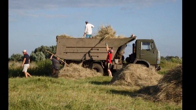 этюд "Стог сена", Анвар Камилевич Сайфутдинов . холст,акрил. 59 х 94 см. смотреть онлайн