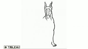 How to draw a Doberman  رسم كلب دوبرمان