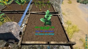 2# Ark Survival Evolved - Гайд по грядкам, Фермерство, Выращивание овощей.