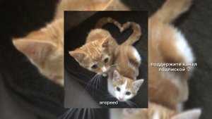 Ханна - Потеряла голову (speed up)