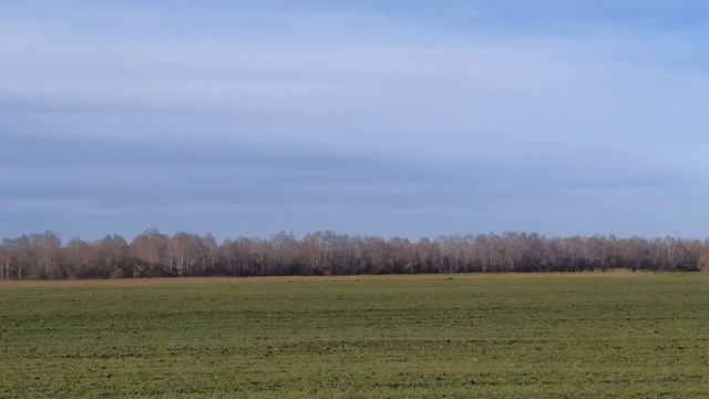 ПАРАМОНОВ ДЕНЬ 12 декабря. Не держите 2 ВЕНИКА в доме. Приметы смотреть онлайн