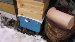 зимовка пчел на одном корпусе с открытым верхним летком - без сырости и зимних подкормок