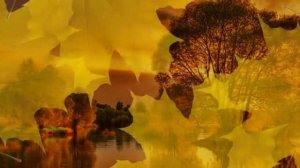 ЗОЛОТАЯ ОСЕНЬ.  Фристайл