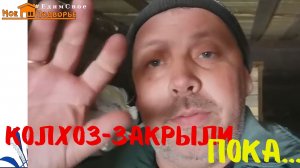 Колхоз закрыли. Грант не дали. "Мое Подворье"