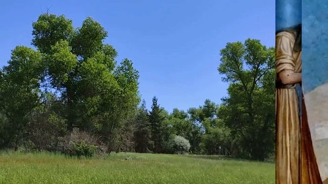 7 июня праздник Третье Обретение Главы Иоанна Предтечи / Крестителя /. Что нельзя делать. Традиции.