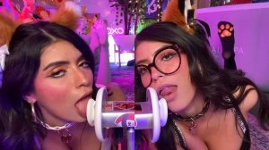 ASMR Twins Cats FAST Noms , ARA ARA, and Meow in your Ears! ? ?