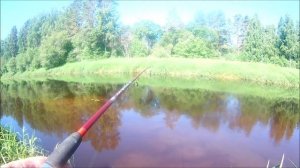 ОТЛИЧНЕЙШИЙ ОТДЫХ И РЫБАЛКА НА РЕКЕ ПЛЮССА!