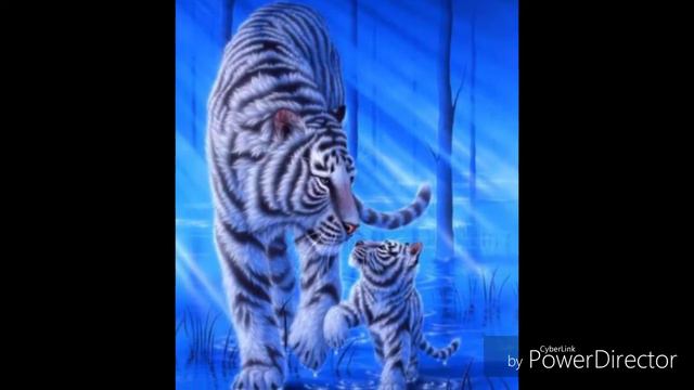 Неоновые коты картинки. смотреть онлайн