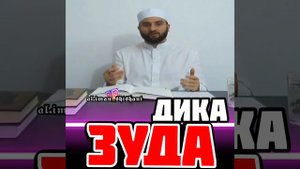 Шоип Хьехам - дика зуда