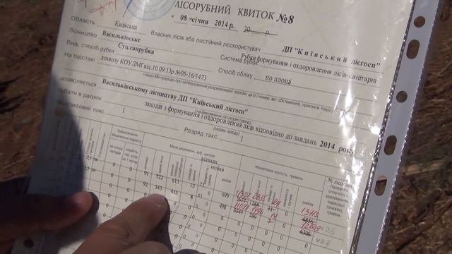 Лесничий рубит лес, "мер" ПИСь- Сабов рубит капусту! смотреть онлайн