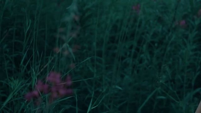 Если хочешь о важном - давай о важном. смотреть онлайн