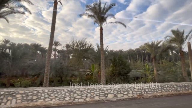 Стоит ли ехать в Каир на автобусе? ВИП экскурсия от Лены смотреть онлайн