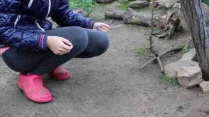 Просто... немного общительных зайцев