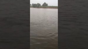 Рыбалка в станице Динская
