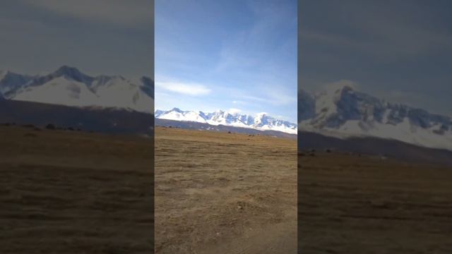 Курайская степь. Алтай 2023
