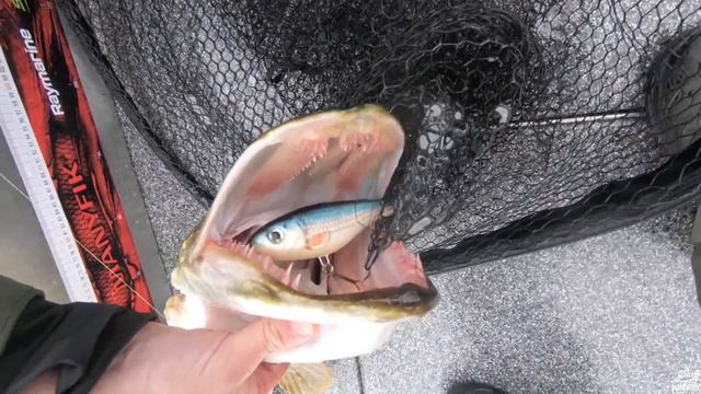 Zwiastun filmu Majowe Szczupaki 2019 #Fantastic Fishing #Manyfik #Dayer Team & #Stepanow-fishing смотреть онлайн